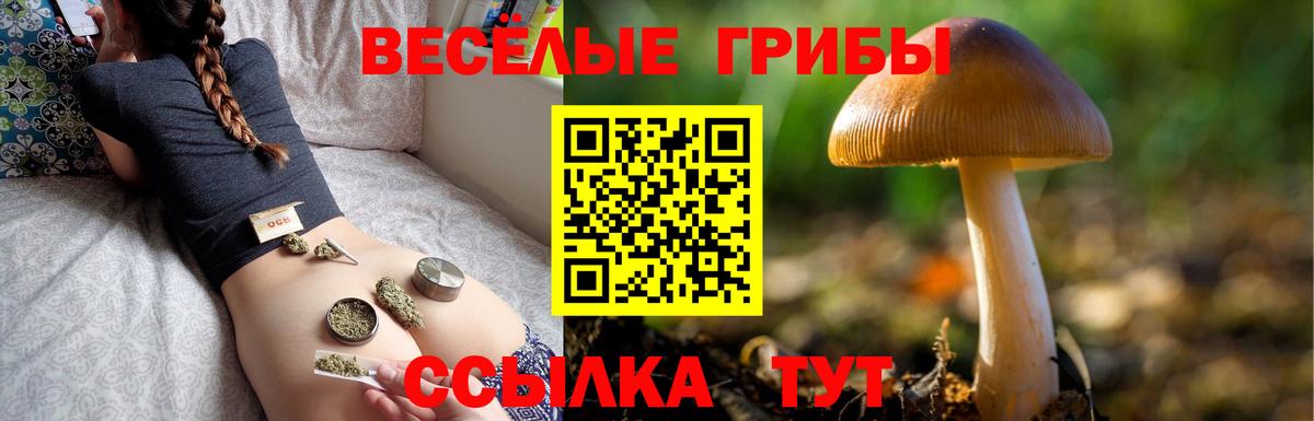 Галлюциногенные грибы MAGIC MUSHROOMS Шадринск